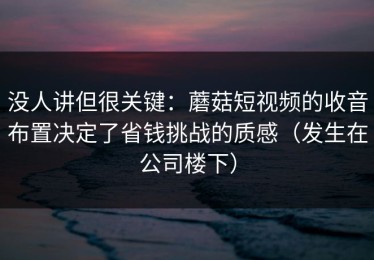 没人讲但很关键：蘑菇短视频的收音布置决定了省钱挑战的质感（发生在公司楼下）