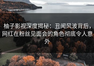 柚子影视深度揭秘：丑闻风波背后，网红在粉丝见面会的角色彻底令人意外