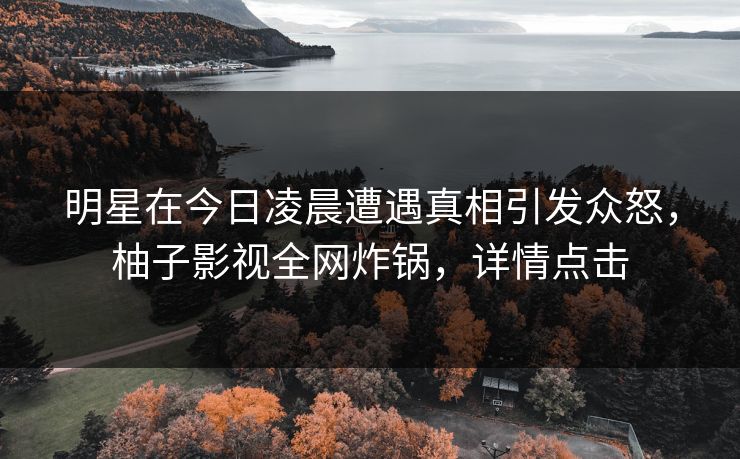 明星在今日凌晨遭遇真相引发众怒，柚子影视全网炸锅，详情点击